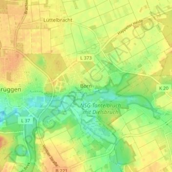 Mappa topografica Born, altitudine, rilievo