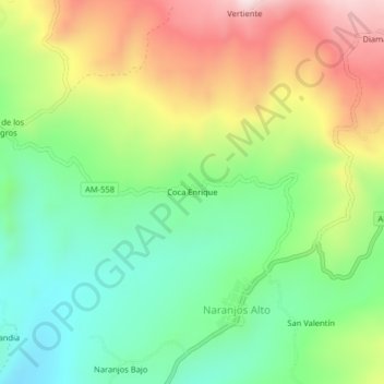 Mappa topografica Coca Enrique, altitudine, rilievo