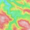 Mappa topografica La Palisse, altitudine, rilievo
