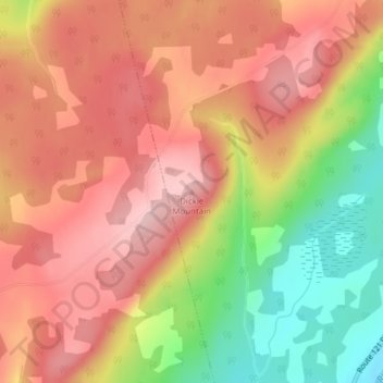 Mappa topografica Dickie Mountain, altitudine, rilievo