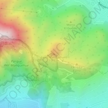 Mappa topografica Cerro Manquehuito, altitudine, rilievo