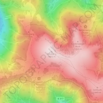 Mappa topografica Feldberg, altitudine, rilievo