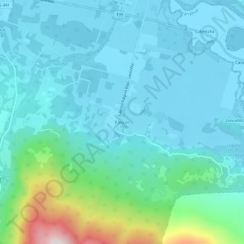 Mappa topografica Palguín, altitudine, rilievo