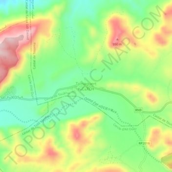 Mappa topografica Tamaguert, altitudine, rilievo