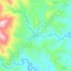 Mappa topografica Dagami, altitudine, rilievo