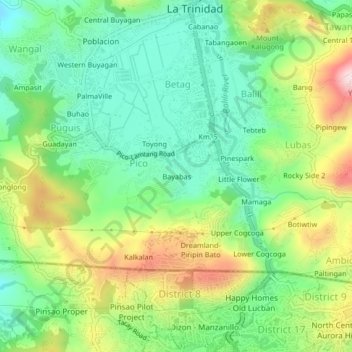 Mappa topografica Bayabas, altitudine, rilievo