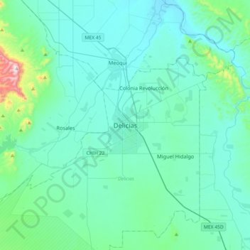 Mappa topografica Delicias, altitudine, rilievo
