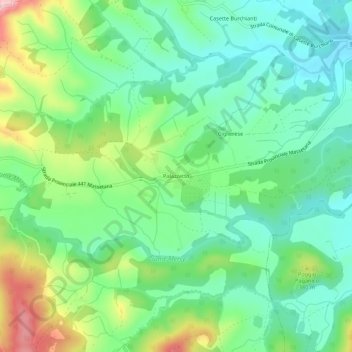 Mappa topografica Palazzetto, altitudine, rilievo