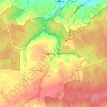 Mappa topografica Seloignes, altitudine, rilievo