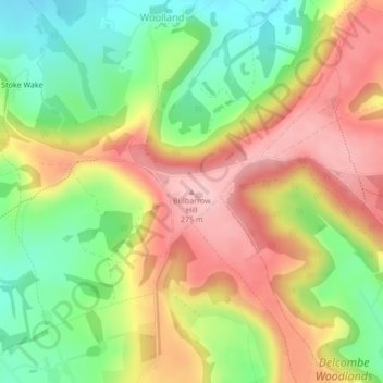 Mappa topografica Bulbarrow Hill, altitudine, rilievo