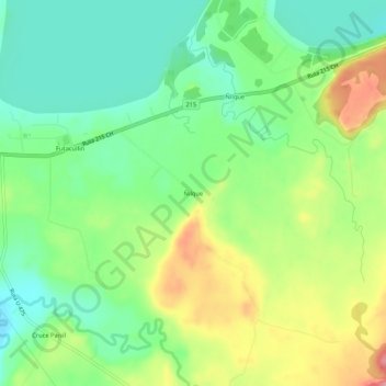 Mappa topografica Ñilque, altitudine, rilievo