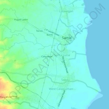 Mappa topografica Bubuyog, altitudine, rilievo