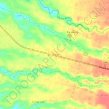 Mappa topografica Binoligan, altitudine, rilievo