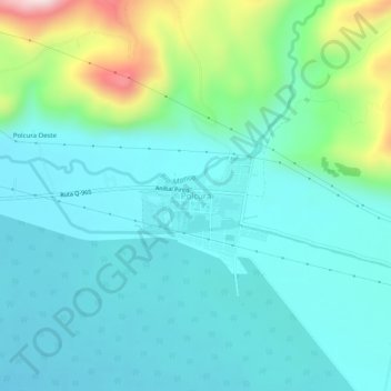 Mappa topografica Polcura, altitudine, rilievo
