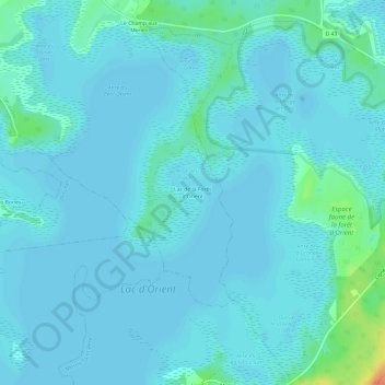Mappa topografica Lac de la Forêt d'Orient, altitudine, rilievo