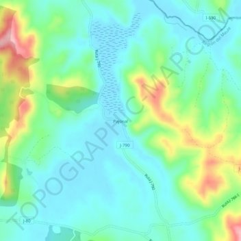 Mappa topografica Pajonal, altitudine, rilievo
