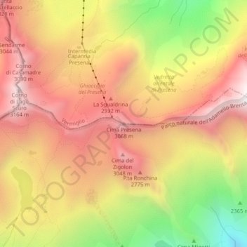 Mappa topografica Cima Presena, altitudine, rilievo
