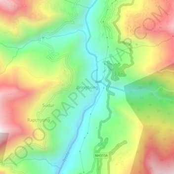 Mappa topografica Bringbong, altitudine, rilievo