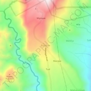 Mappa topografica Binaton, altitudine, rilievo