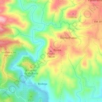 Mappa topografica Picota, altitudine, rilievo