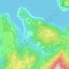 Mappa topografica Eddyville, altitudine, rilievo