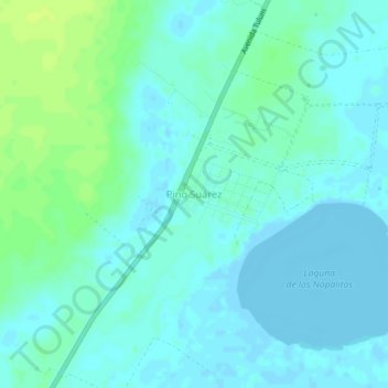 Mappa topografica Pino Suárez, altitudine, rilievo