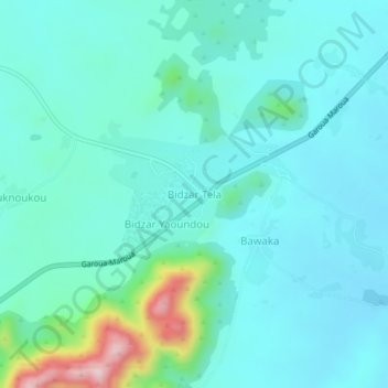 Mappa topografica Bidzar Tela, altitudine, rilievo