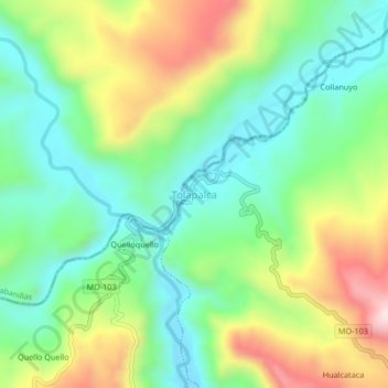 Mappa topografica Tolapalca, altitudine, rilievo