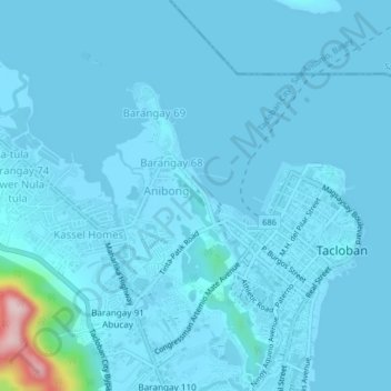 Mappa topografica Barangay 66A, altitudine, rilievo