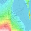 Mappa topografica Biñan, altitudine, rilievo