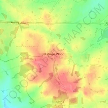 Mappa topografica Bishops Wood, altitudine, rilievo