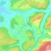 Mappa topografica Wil, altitudine, rilievo