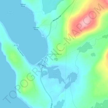 Mappa topografica Green's Harbour, altitudine, rilievo