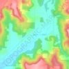 Mappa topografica Peone, altitudine, rilievo