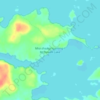 Mappa topografica McDowell Lake, altitudine, rilievo