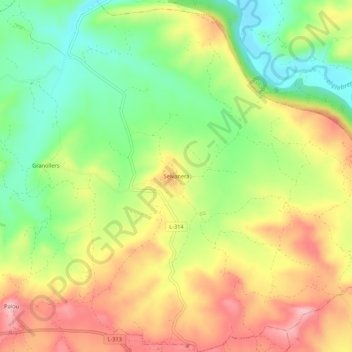 Mappa topografica Selvanera, altitudine, rilievo