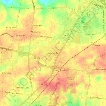 Mappa topografica Forest Hills, altitudine, rilievo