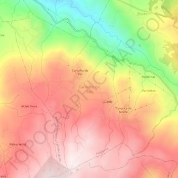 Mappa topografica Carvalho de Rei, altitudine, rilievo