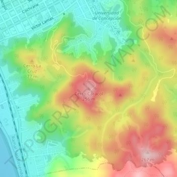 Mappa topografica Cerro Caracol, altitudine, rilievo