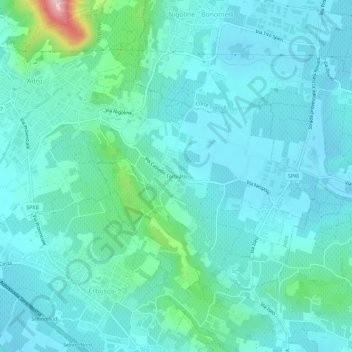 Mappa topografica Torbiato, altitudine, rilievo