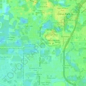 Mappa topografica Citrus Park Crossing, altitudine, rilievo