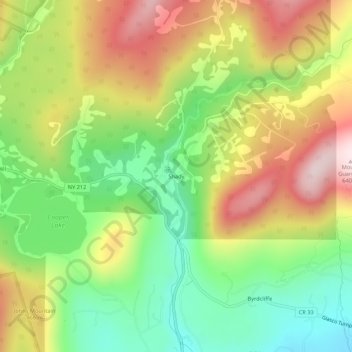 Mappa topografica Shady, altitudine, rilievo