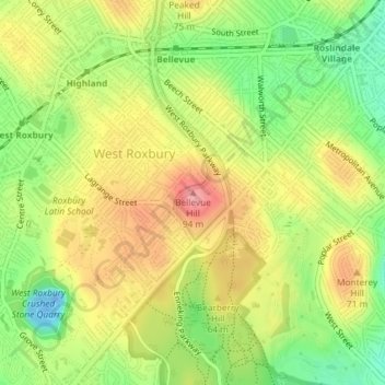 Mappa topografica Bellevue Hill, altitudine, rilievo