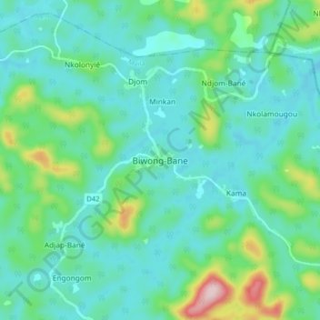 Mappa topografica Biwong-Bane, altitudine, rilievo