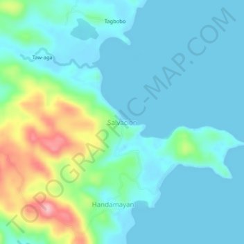 Mappa topografica Salvacion, altitudine, rilievo