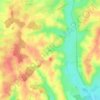 Mappa topografica Selins, altitudine, rilievo