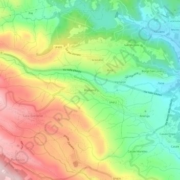 Mappa topografica Bornasco, altitudine, rilievo