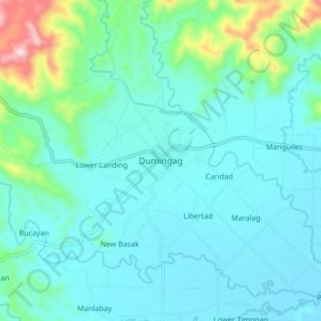 Mappa topografica Dumingag, altitudine, rilievo