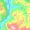 Mappa topografica Selvapiana, altitudine, rilievo