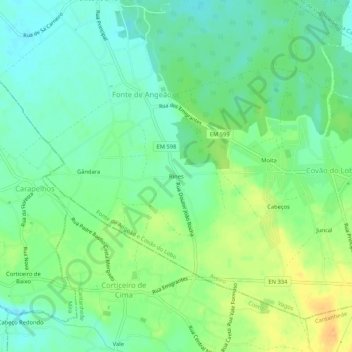 Mappa topografica Rines, altitudine, rilievo